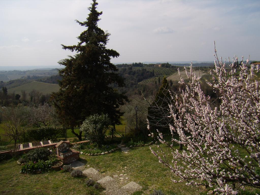 Nido Di Rondine Appartement Montespertoli Buitenkant foto
