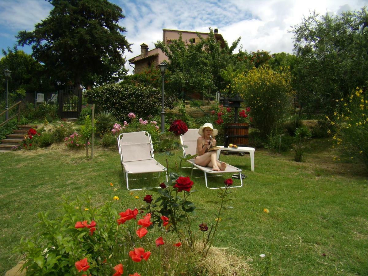 Nido Di Rondine Appartement Montespertoli Buitenkant foto