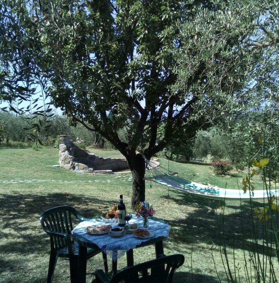 Nido Di Rondine Appartement Montespertoli Buitenkant foto